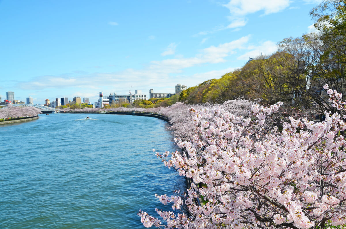 毛馬桜之宮公園